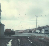 Eagles behind Navfac Adak BEQ