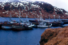 Adak, Finger Bay, Fishing fleet - Jan. 1974  Photo by Michael Hein