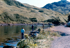 Adak, Lake Betty outflow stream, salmon spawing season - Aug. 1974  Photo by Michael Hein