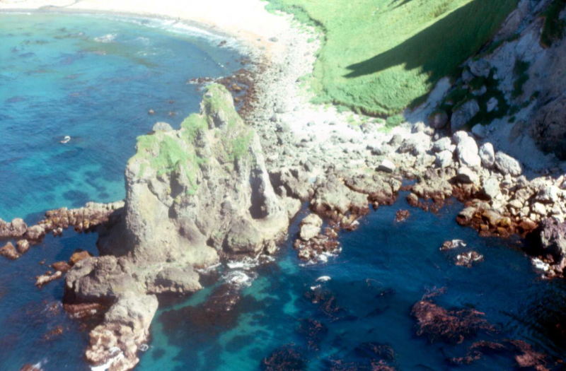 Adak, West side of Mt. Adagdak near hot springs - Aug. 1974  Photo by Michael Hein