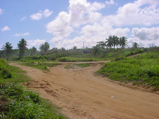 View of Navfac from Ruins