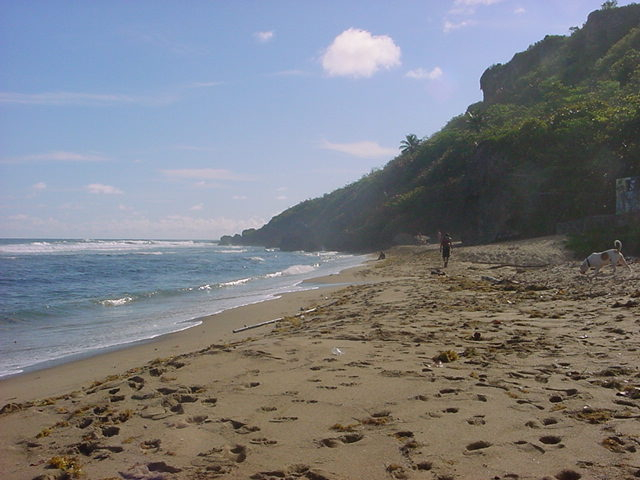 Surfers Beach 2006-3
