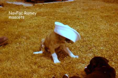 NAVFAC Ramey Mascots
