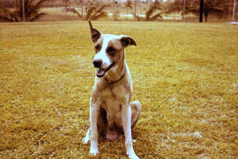 NAVFAC Ramey -  Not Bogalusa