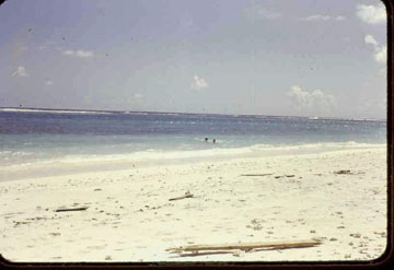 Midway, Navfac Beach