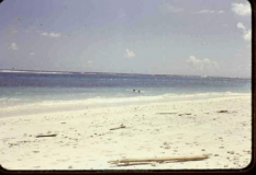 Midway, Navfac Beach