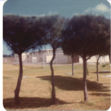 NavFac Midway  T Building  summer 1976