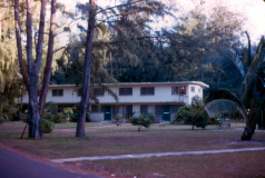 Midway Island, married housing (ensign & LTJG) - Photo by Michael Hein
