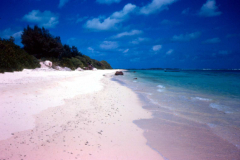Midway Island, NavFac Midway beach - Sept. 1974  Photo by Michael Hein
