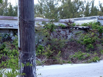 Galley From Pan Am Side