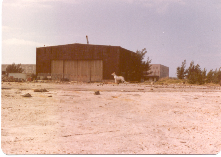 Sea Plane Area 2 Bermuda 1979