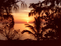 Why I loved this Place