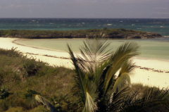 Eleuthera 1975 - Receivers Beach