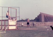 Bicentennial Picnic 1 Brawdy 4 July 1976