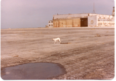 Sea Plane Area 3 Bermuda 1979