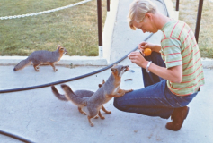 1973 NavFac SNI - Fox 5 at T-Bldg