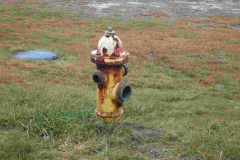 NAN13-RRH2135-NAVFAC-Site