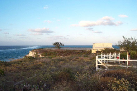 Northern View Of T-Building 2001