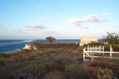 Northern View Of T-Building 2001