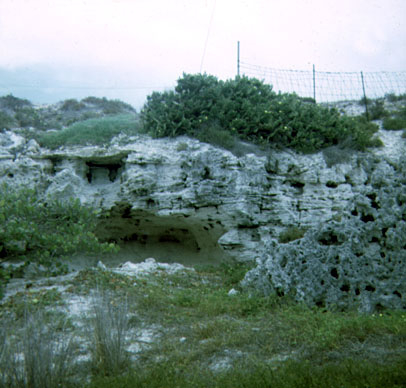 Rocks near T-Building 1968-69