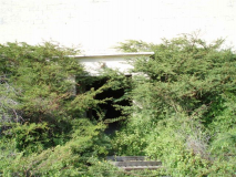 Entrance to T-Building Dec2006