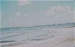 1957 - Town - Salt Flats