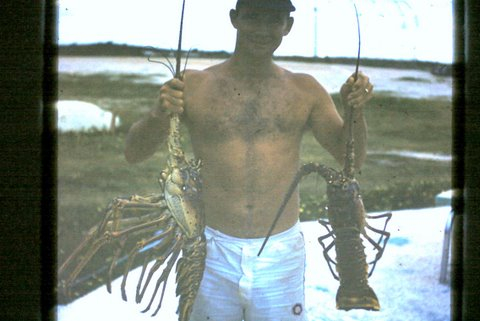 Grand Turk Spiney Lobster - 1961
