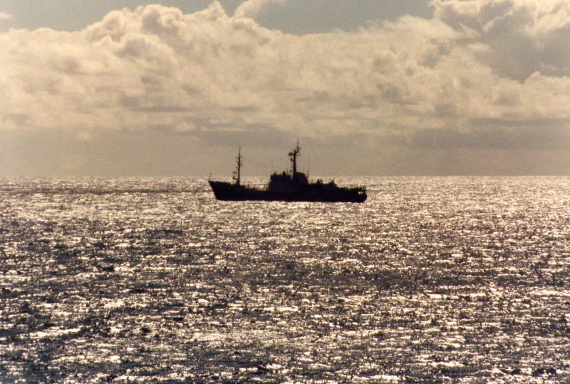 Teodolit Silhouetted