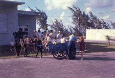 Barbados, Navy Day, Donkey Cart rides 1967