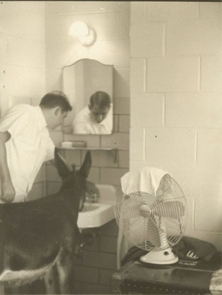 NAVFAC Barbados Donkey