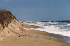 Beach Erosion In 2000