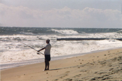 Heaven On Earth (according to Rick)