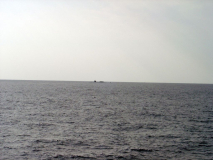 LA waiting to pull in