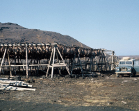 Drying Cod in Grindavik, Iceland