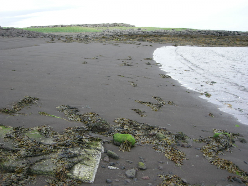 NAVFACKEF Beach 20JUN09