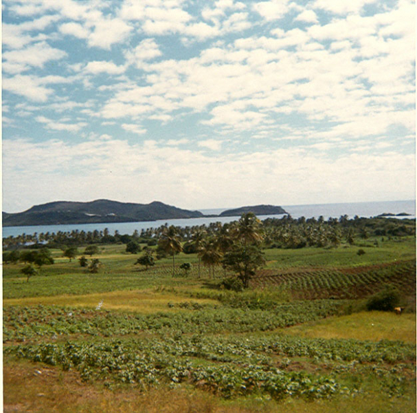 Halfmoon Bay, Antigua 1965