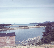 Argentia - Fox Harbour (north of Arg) - 1970