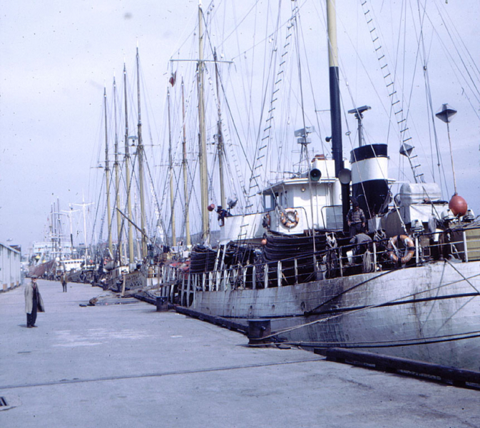 Argentia - Portugese White Fleet in St. Johns - 1969