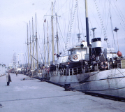 Argentia - Portugese White Fleet in St. Johns - 1969