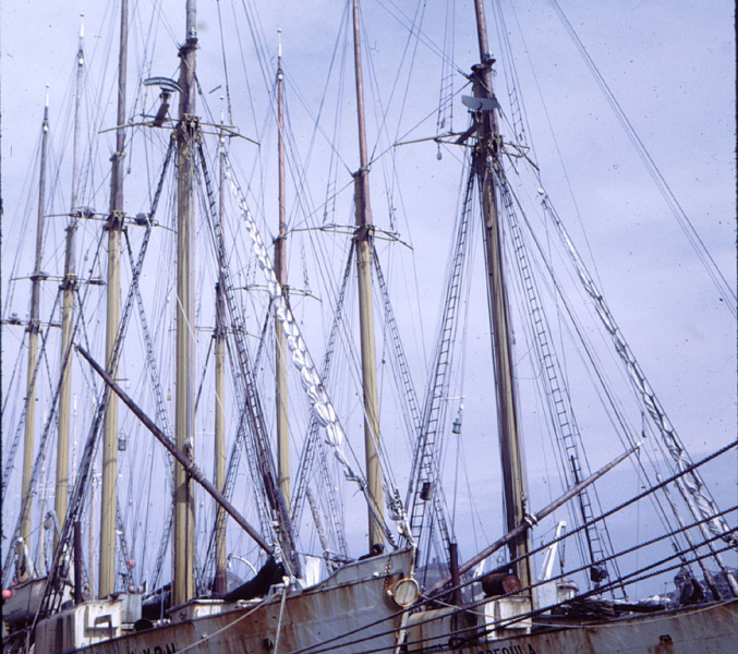 Argentia - Portugese White Fleet in St. Johns - 1969