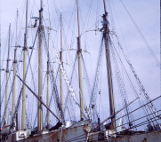 Argentia - Portugese White Fleet in St. Johns - 1969