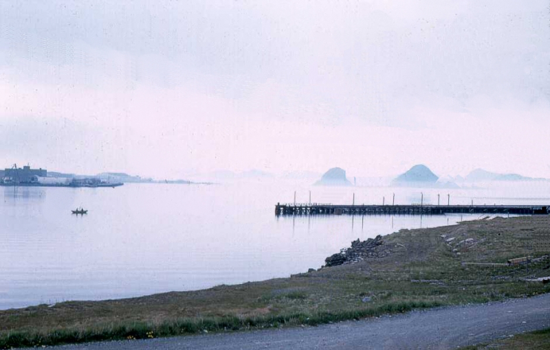 Mae West in the mist - NF Arg 1966