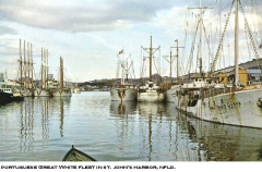 Great White Fleet, St. John's, Nfld.