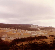 Another view of NavSta Argentia housing - June 1971