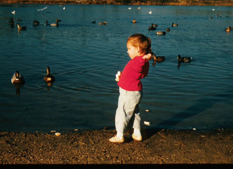 Lake Lily Cape May Point 1959 ...
