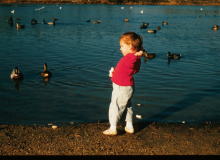 Lake Lily Cape May Point 1959 ...