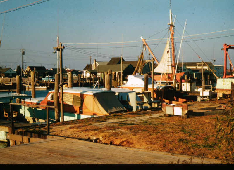 Cape May Marina 1959