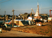 Cape May Marina 1959